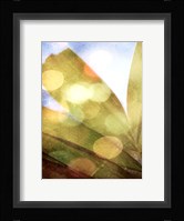 Tropical Daydream II Framed Print