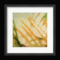 Tropical Texture I Framed Print