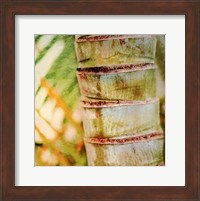 Tropical Texture II Fine Art Print