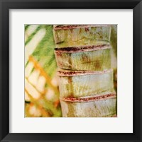 Tropical Texture II Fine Art Print