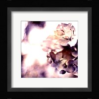 Purple Dusk II Framed Print