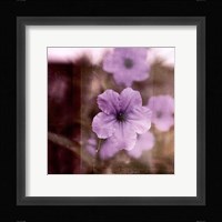 Purple Tranquility II Framed Print