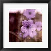 Purple Tranquility II Fine Art Print