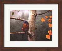 Bluebird Rain Fine Art Print