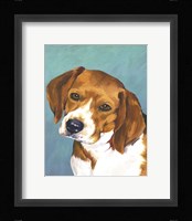 Dog Portrait-Beagle Framed Print