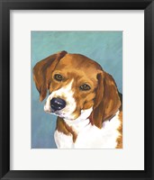 Dog Portrait-Beagle Fine Art Print