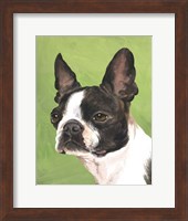 Dog Portrait-Boston Fine Art Print