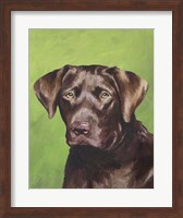 Dog Portrait-Chocolate Fine Art Print