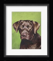 Dog Portrait-Chocolate Framed Print
