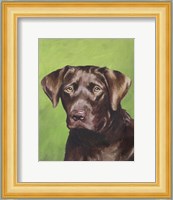 Dog Portrait-Chocolate Fine Art Print