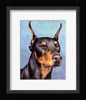Dog Portrait-Dobie Framed Print