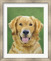 Dog Portrait-Golden Fine Art Print