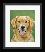 Dog Portrait-Golden Framed Print