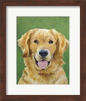 Dog Portrait-Golden Fine Art Print