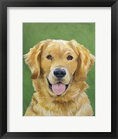 Dog Portrait-Golden Fine Art Print