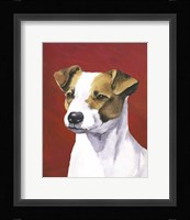 Dog Portrait-Jack Framed Print