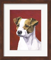 Dog Portrait-Jack Fine Art Print