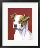 Dog Portrait-Jack Fine Art Print