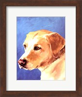 Dog Portrait-Yellow Lab Fine Art Print