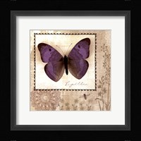 Butterfly Notes I Framed Print
