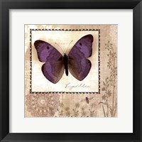 Butterfly Notes I Framed Print
