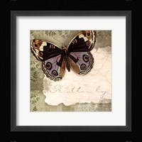 Butterfly Notes IV Framed Print