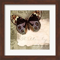 Butterfly Notes IV Fine Art Print