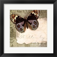 Butterfly Notes IV Framed Print