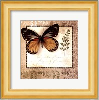 Butterfly Notes V Fine Art Print