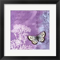 Butterfly Notes VIII Framed Print