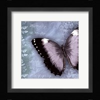 Butterfly Notes X Fine Art Print