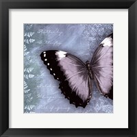 Butterfly Notes X Fine Art Print