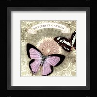 Butterfly Notes XII Framed Print