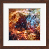 A Hubble Space Telescope image of the R136 Super Star Cluster Fine Art Print