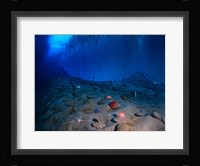 Ice Wall and the Ocean Floor at Explorer's Cover Fine Art Print