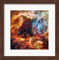 Star Cluster Fine Art Print