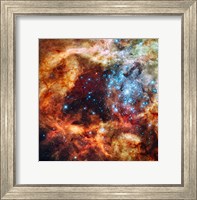 Star Cluster Fine Art Print
