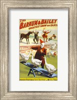 The Barnum & Bailey Performing Geese, Roosters and Musical Donkey Fine Art Print