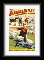 The Barnum & Bailey Performing Geese, Roosters and Musical Donkey Fine Art Print
