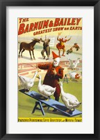 The Barnum & Bailey Performing Geese, Roosters and Musical Donkey Fine Art Print