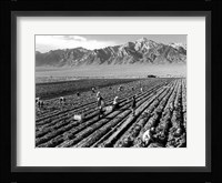 Farm Workers and Mt. Williamson Fine Art Print
