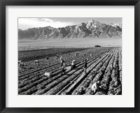 Farm Workers and Mt. Williamson Fine Art Print