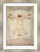 Vitruvian Man Fine Art Print