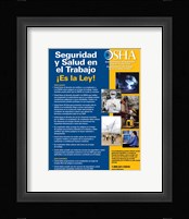 OSHA Job Safety and Health Spanish Version 2012 Fine Art Print