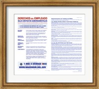 Employee Rights on Government Contracts Spanish Version 2012 Fine Art Print