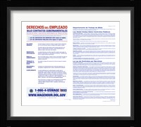 Employee Rights on Government Contracts Spanish Version 2012 Fine Art Print