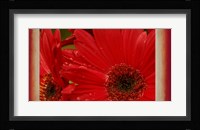 Floral Fusion Fine Art Print