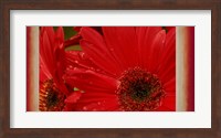 Floral Fusion Fine Art Print