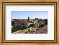 Look from Palatine Hill Francesca Romana, Arch of Titus and Colosseum, Rome, Italy Fine Art Print