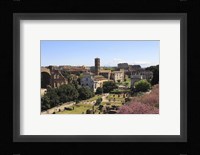 Look from Palatine Hill Francesca Romana, Arch of Titus and Colosseum, Rome, Italy Fine Art Print